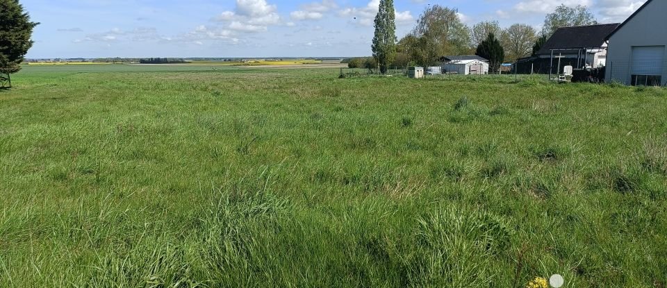 Land of 1,414 m² in Saint-Nicolas-des-Motets (37110)