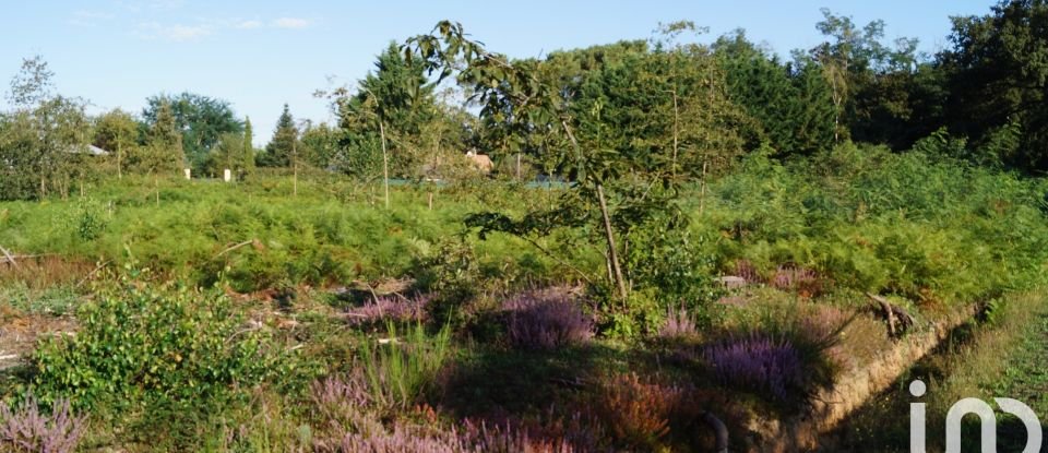 Agricultural land of 10,990 m² in Guécélard (72230)