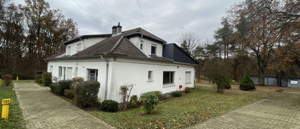 Business premises of 9,000 m² in Creutzwald (57150)