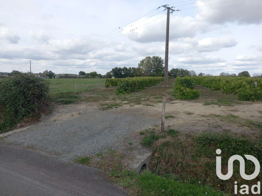 Land of 10,000 m² in Saint-Laurent-de-la-Salle (85410)