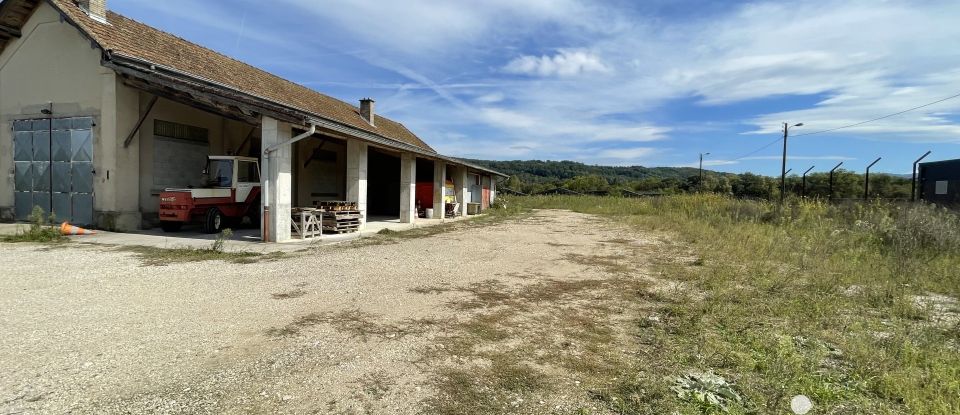 Maison 5 pièces de 210 m² à Neuville-sur-Ain (01160)