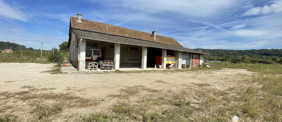 Maison 5 pièces de 210 m² à Neuville-sur-Ain (01160)