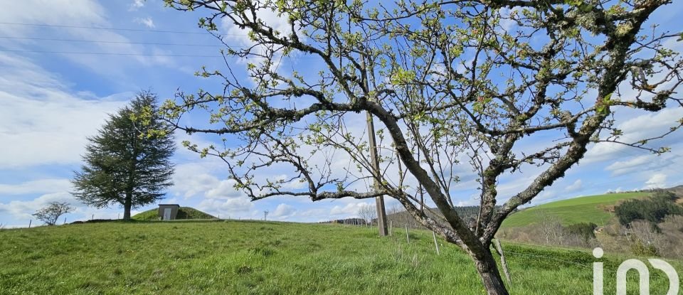 Maison de campagne 5 pièces de 124 m² à Le Fel (12140)