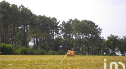 Terrain de 44 000 m² à Bazas (33430)