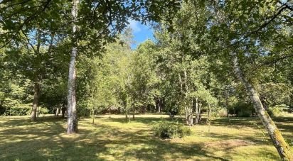 Land of 8,035 m² in Charbuy (89113)