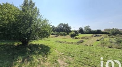 Terrain de 10 167 m² à Connerré (72160)