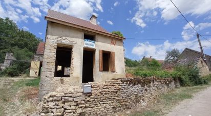 Village house 2 rooms of 200 m² in Soussey-sur-Brionne (21350)