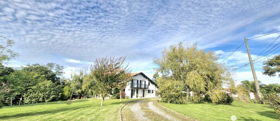 Maison traditionnelle 6 pièces de 113 m² à Hasparren (64240)