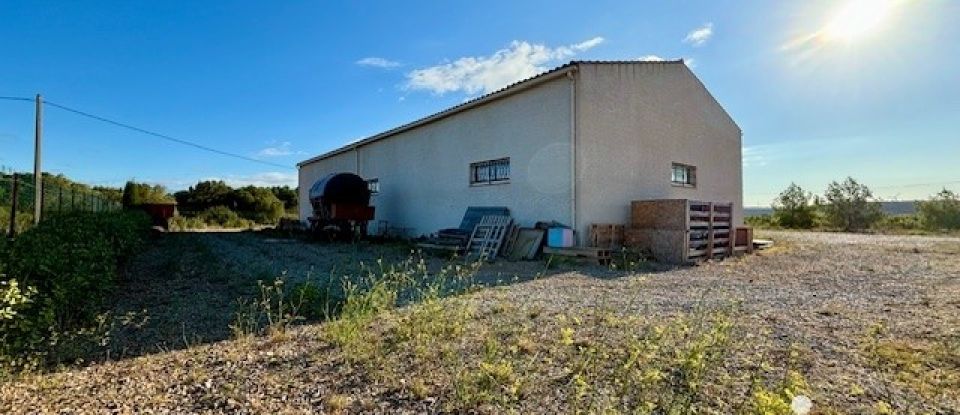 Terrain agricole de 4 810 m² à Roquefort-des-Corbières (11540)