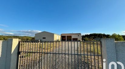 Agricultural land of 4,810 m² in Roquefort-des-Corbières (11540)