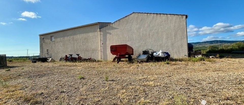 Terrain agricole de 4 810 m² à Roquefort-des-Corbières (11540)