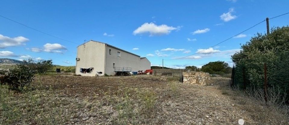 Terrain agricole de 4 810 m² à Roquefort-des-Corbières (11540)