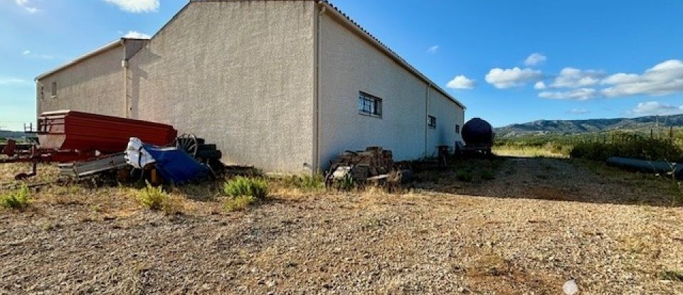 Terrain agricole de 4 810 m² à Roquefort-des-Corbières (11540)