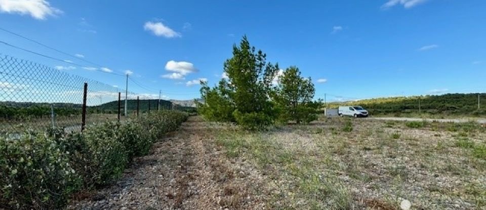 Terrain agricole de 4 810 m² à Roquefort-des-Corbières (11540)