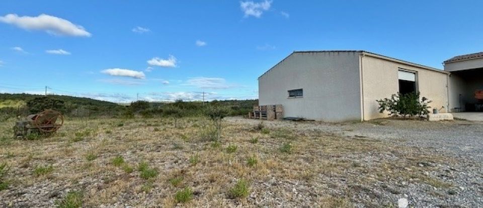 Terrain agricole de 4 810 m² à Roquefort-des-Corbières (11540)