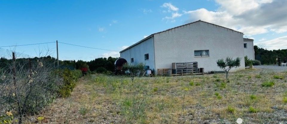 Terrain agricole de 4 810 m² à Roquefort-des-Corbières (11540)