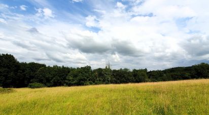 Terrain de 2 995 m² à Tamniès (24620)