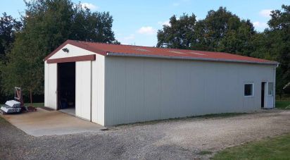 Maison 1 pièce de 150 m² à Belleville-sur-Loire (18240)