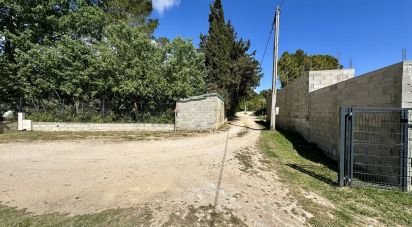 Terrain de 774 m² à Piolenc (84420)