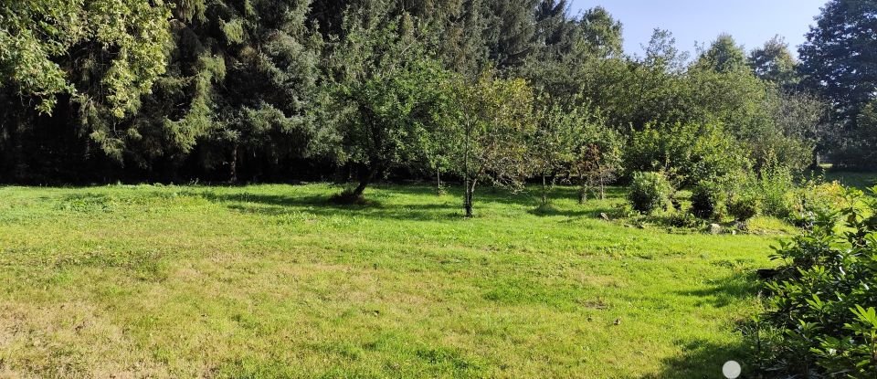 Land of 8,000 m² in Bains-sur-Oust (35600)