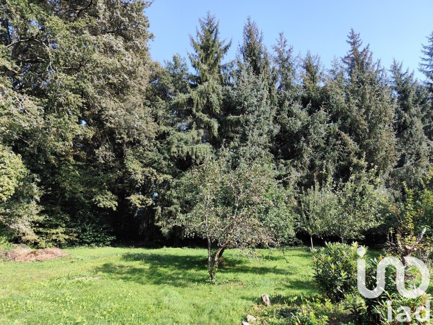 Land of 8,000 m² in Bains-sur-Oust (35600)