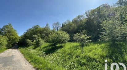 Terrain de 5 385 m² à Bourg-Bruche (67420)