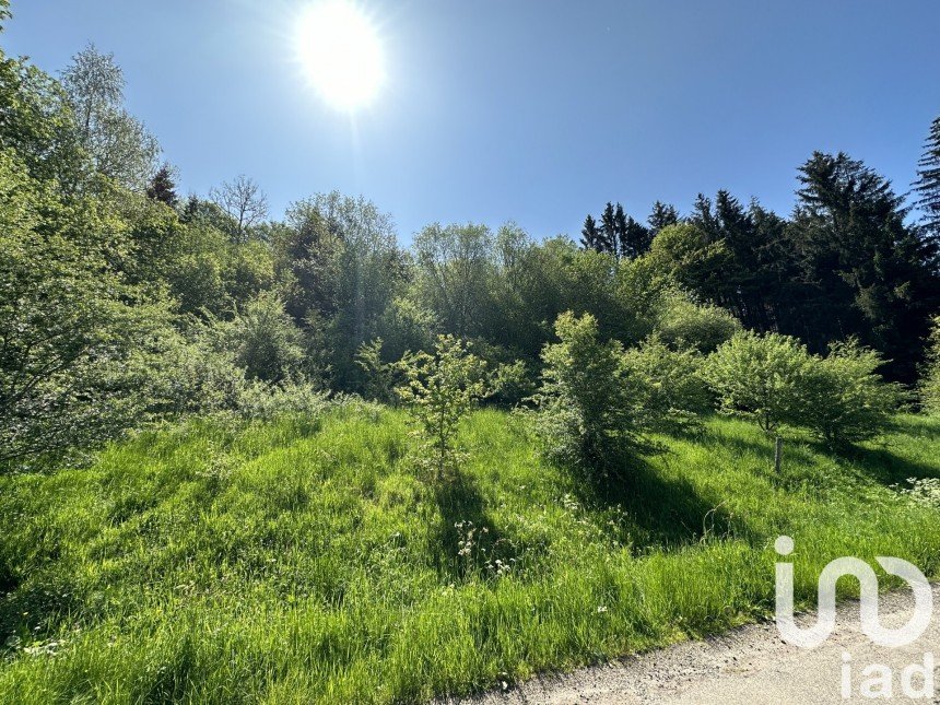 Land of 5,385 m² in Bourg-Bruche (67420)