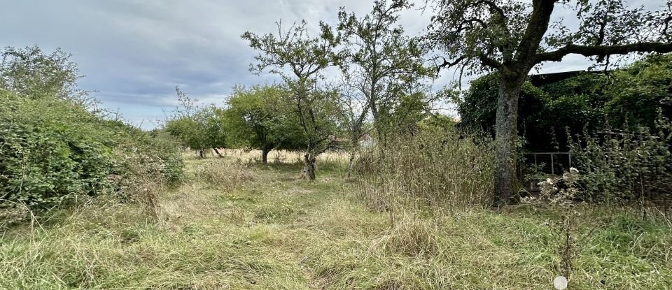 Terrain de 4 705 m² à Villequiers (18800)