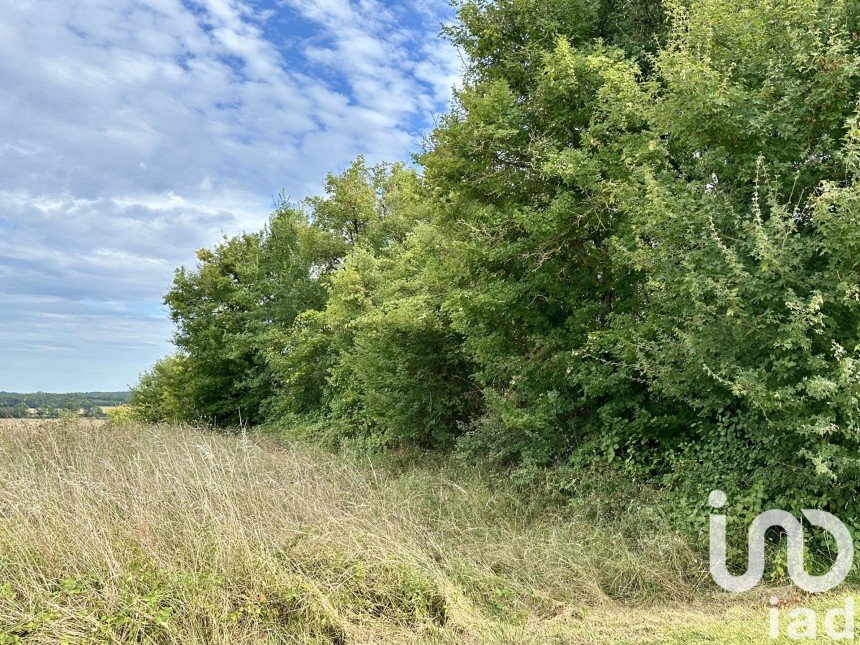 Terrain Loisirs de 1 100 m² à Villequiers (18800)