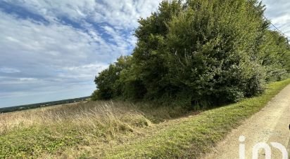 Terrain Loisirs de 1 100 m² à Villequiers (18800)