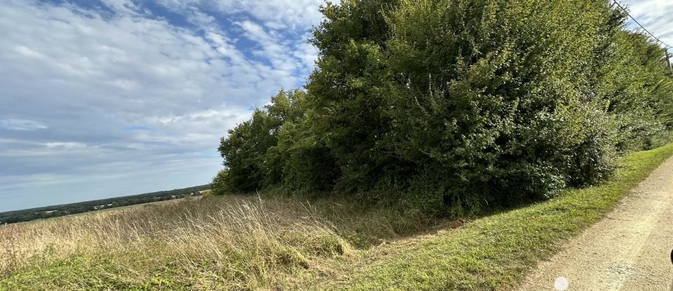 Terrain Loisirs de 1 100 m² à Villequiers (18800)