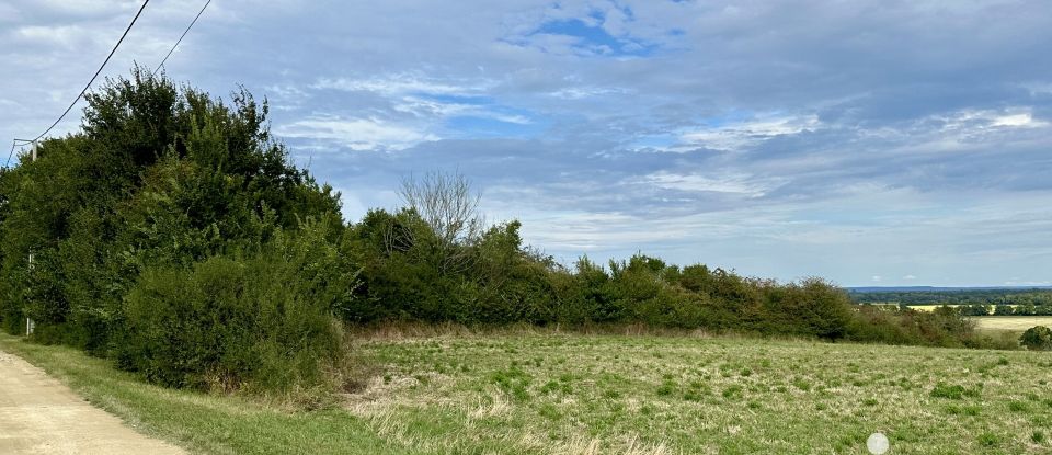 Terrain Loisirs de 1 100 m² à Villequiers (18800)