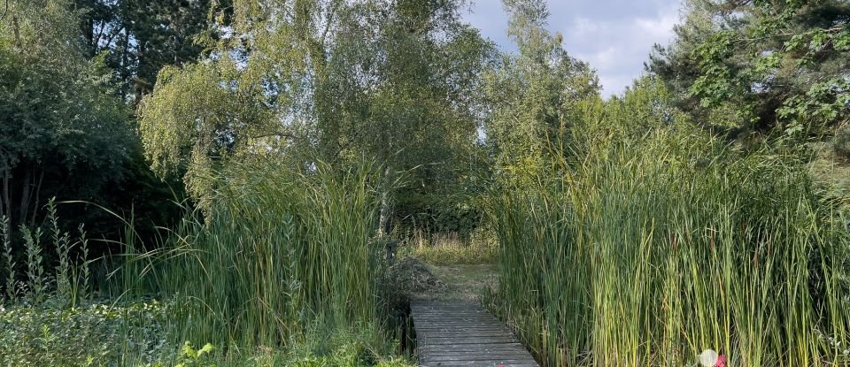 Maison traditionnelle 10 pièces de 254 m² à Châtres (77610)