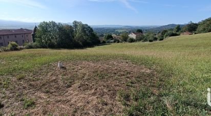 Terrain de 3 271 m² à Salzuit (43230)