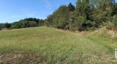 Land of 3,271 m² in Salzuit (43230)