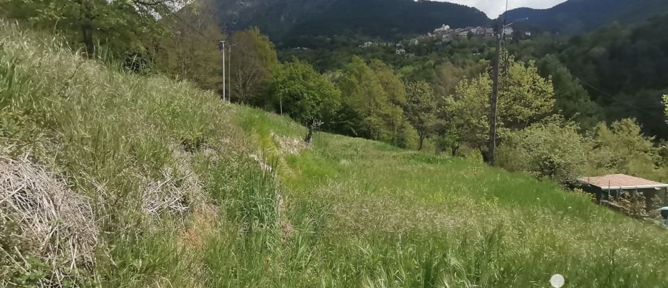 Terrain de 1 514 m² à La Bollène-Vésubie (06450)