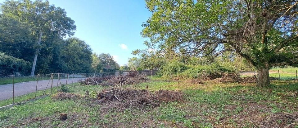 Land of 910 m² in Saint-Florentin (89600)