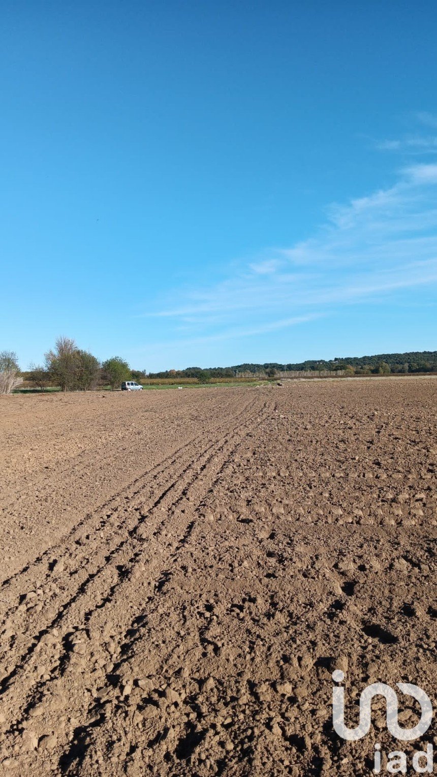 Terrain agricole de 42 827 m² à Saint-Nazaire-d'Aude (11120)