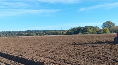 Terrain agricole de 42 827 m² à Saint-Nazaire-d'Aude (11120)