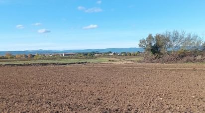 Terrain agricole de 42 827 m² à Saint-Nazaire-d'Aude (11120)