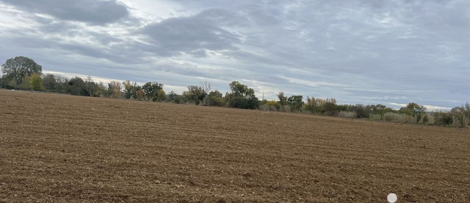 Terrain agricole de 42 827 m² à Saint-Nazaire-d'Aude (11120)