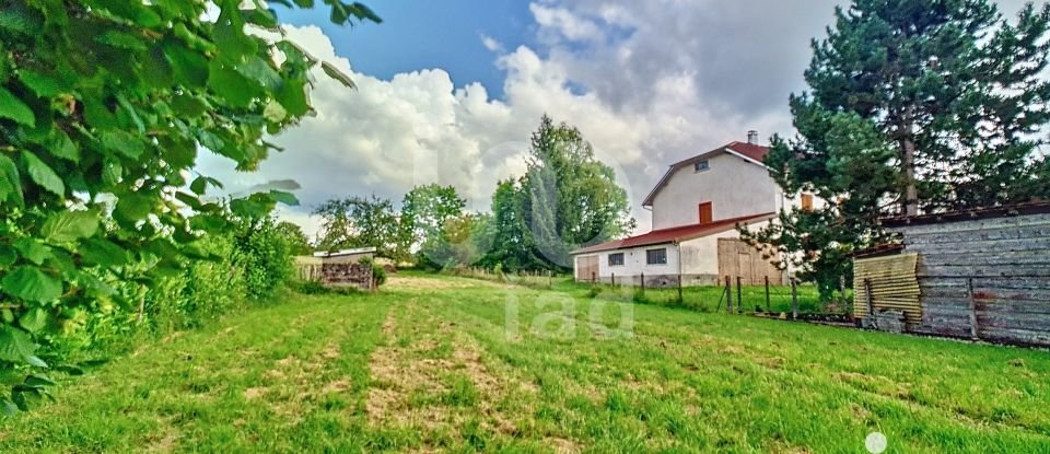 Maison traditionnelle 6 pièces de 134 m² à Pexonne (54540)