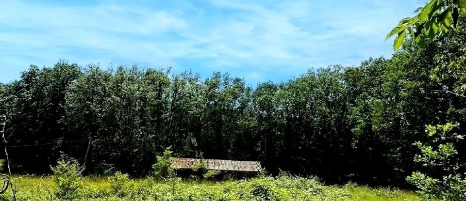 Maison traditionnelle 10 pièces de 141 m² à Sarlat-la-Canéda (24200)