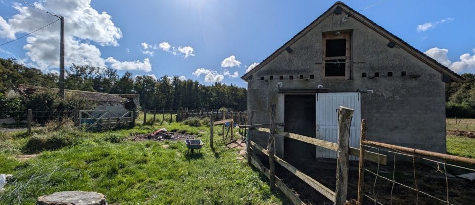 Maison 5 pièces de 171 m² à Saint-Maurice-sur-Fessard (45700)