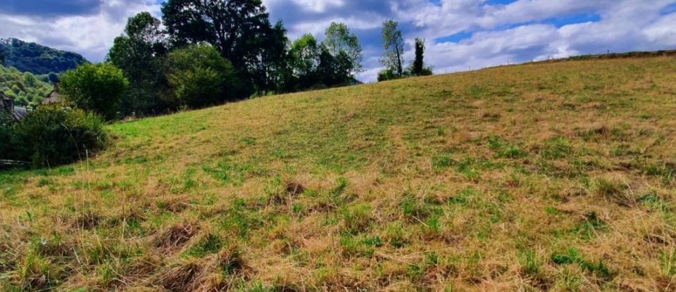 Maison 3 pièces de 100 m² à Labastide (65130)