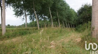 Terrain de 21 800 m² à Roézé-sur-Sarthe (72210)