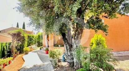 Traditional house 5 rooms of 92 m² in Le Cannet-des-Maures (83340)