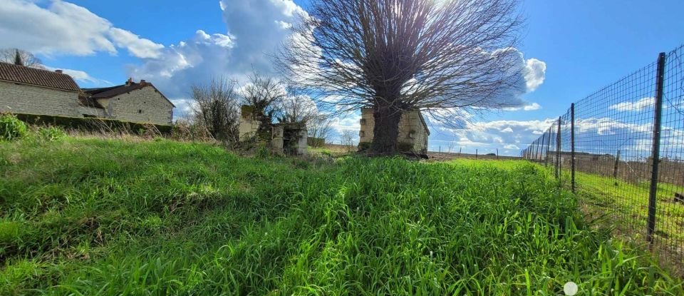 Maison de campagne 4 pièces de 80 m² à Sérigny (86230)