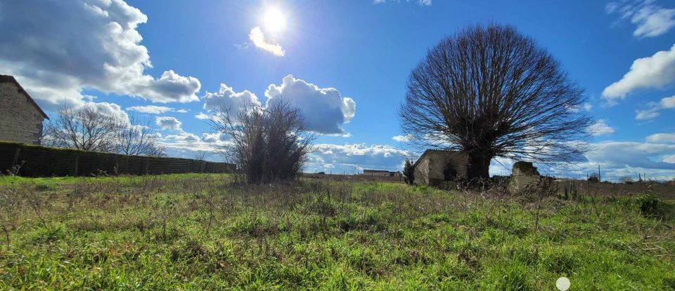 Maison de campagne 4 pièces de 80 m² à Sérigny (86230)