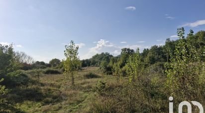 Terrain de 8 654 m² à Montcaret (24230)